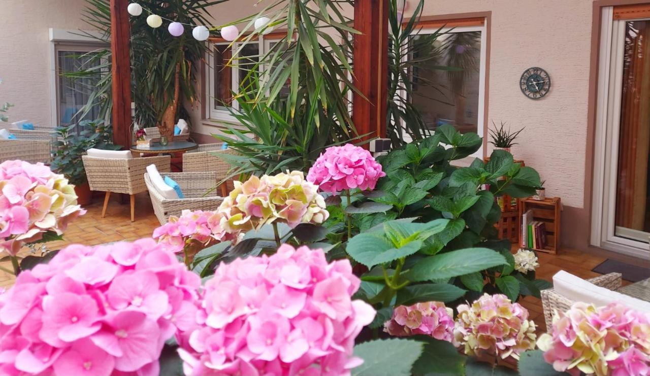 Gaestehaus Roehm Ilbesheim bei Landau in der Pfalz エクステリア 写真